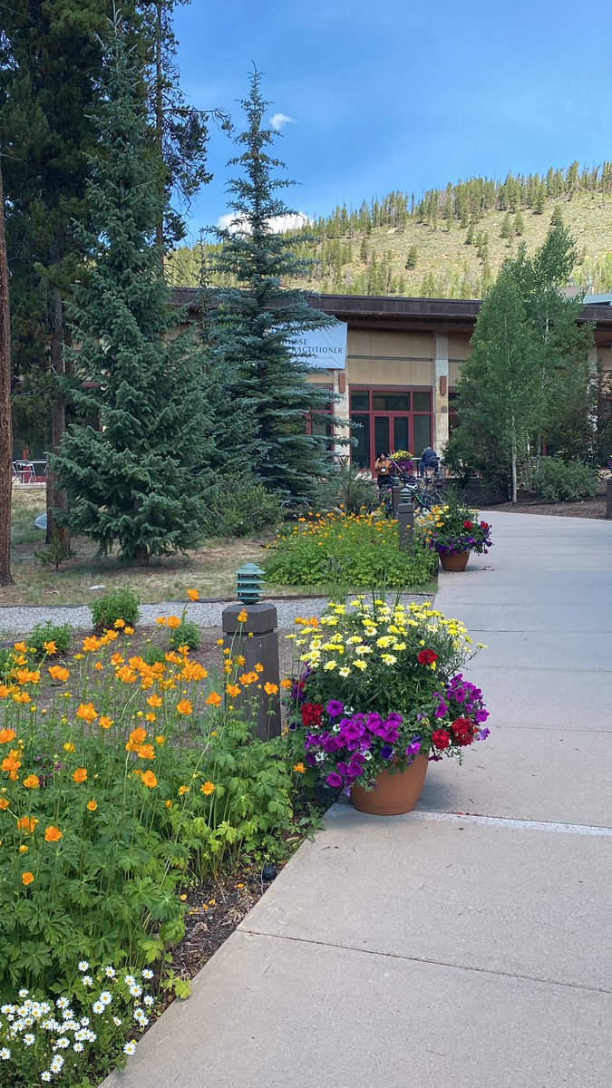 Leonie DeClerk tweet media