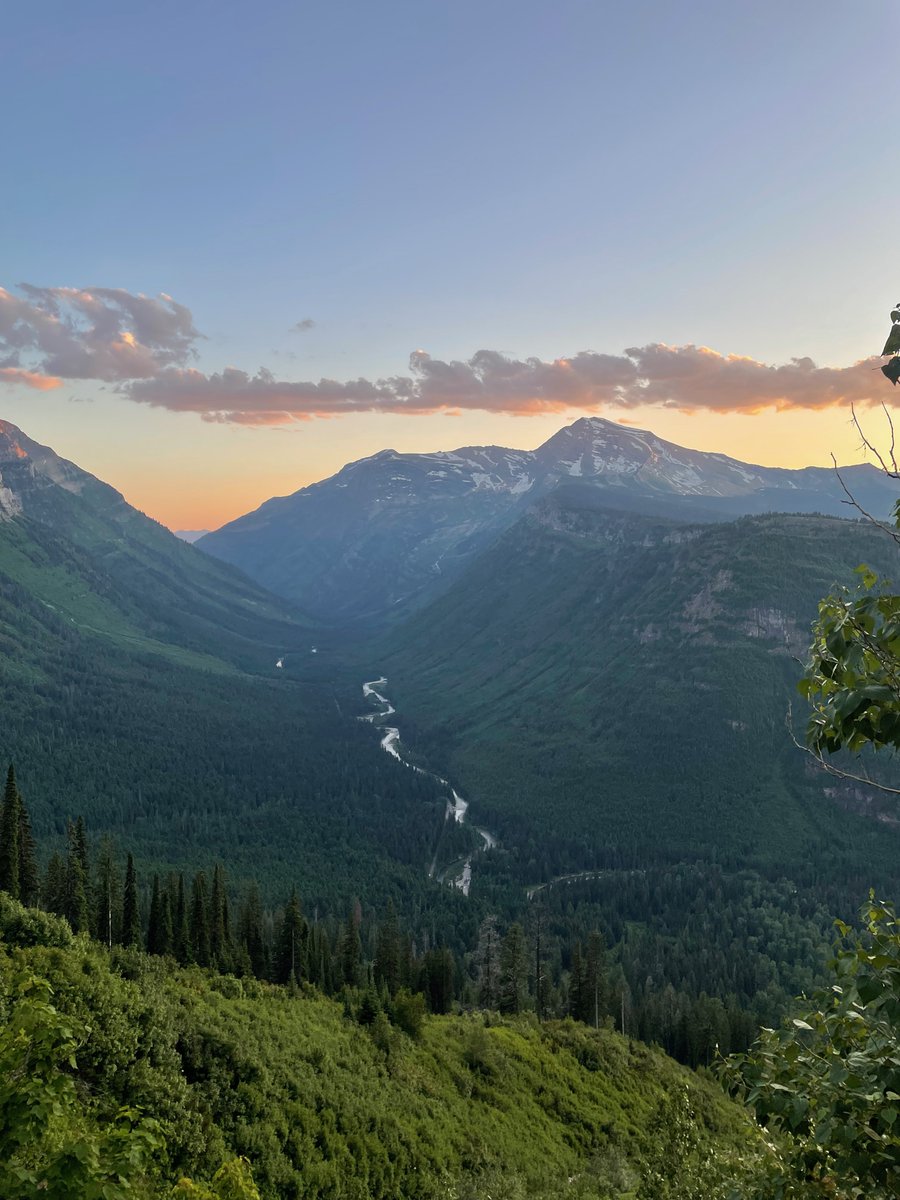 smashedmcdouble's tweet image. havent been around much lately cuz i’ve been logged off. been outside touching grass. beautiful grass. most beautiful grass you ever seen. i liked how it felt. might keep it going. not gonna be around as much. still might tweet. just to log. i’ll see ya when i see ya. ✌️