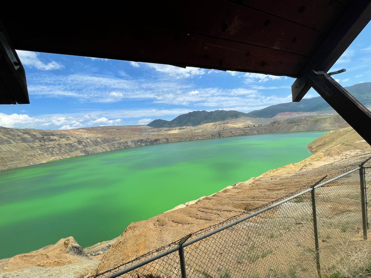 smashedmcdouble's tweet image. havent been around much lately cuz i’ve been logged off. been outside touching grass. beautiful grass. most beautiful grass you ever seen. i liked how it felt. might keep it going. not gonna be around as much. still might tweet. just to log. i’ll see ya when i see ya. ✌️