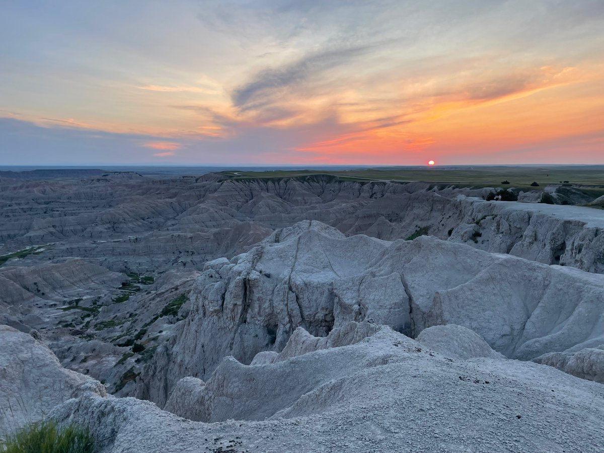 smashedmcdouble's tweet image. havent been around much lately cuz i’ve been logged off. been outside touching grass. beautiful grass. most beautiful grass you ever seen. i liked how it felt. might keep it going. not gonna be around as much. still might tweet. just to log. i’ll see ya when i see ya. ✌️