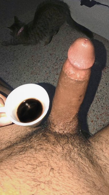 - but first, coffee.. con Leche? 😏 .. why she had to do that pose as I was taking the picture tho?? 🐱😩<a href="/tag/myxanniversary"class="tags"><span>#myxanniversary</span></a>