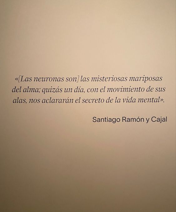 literland (@literlandweb1) on Twitter photo 