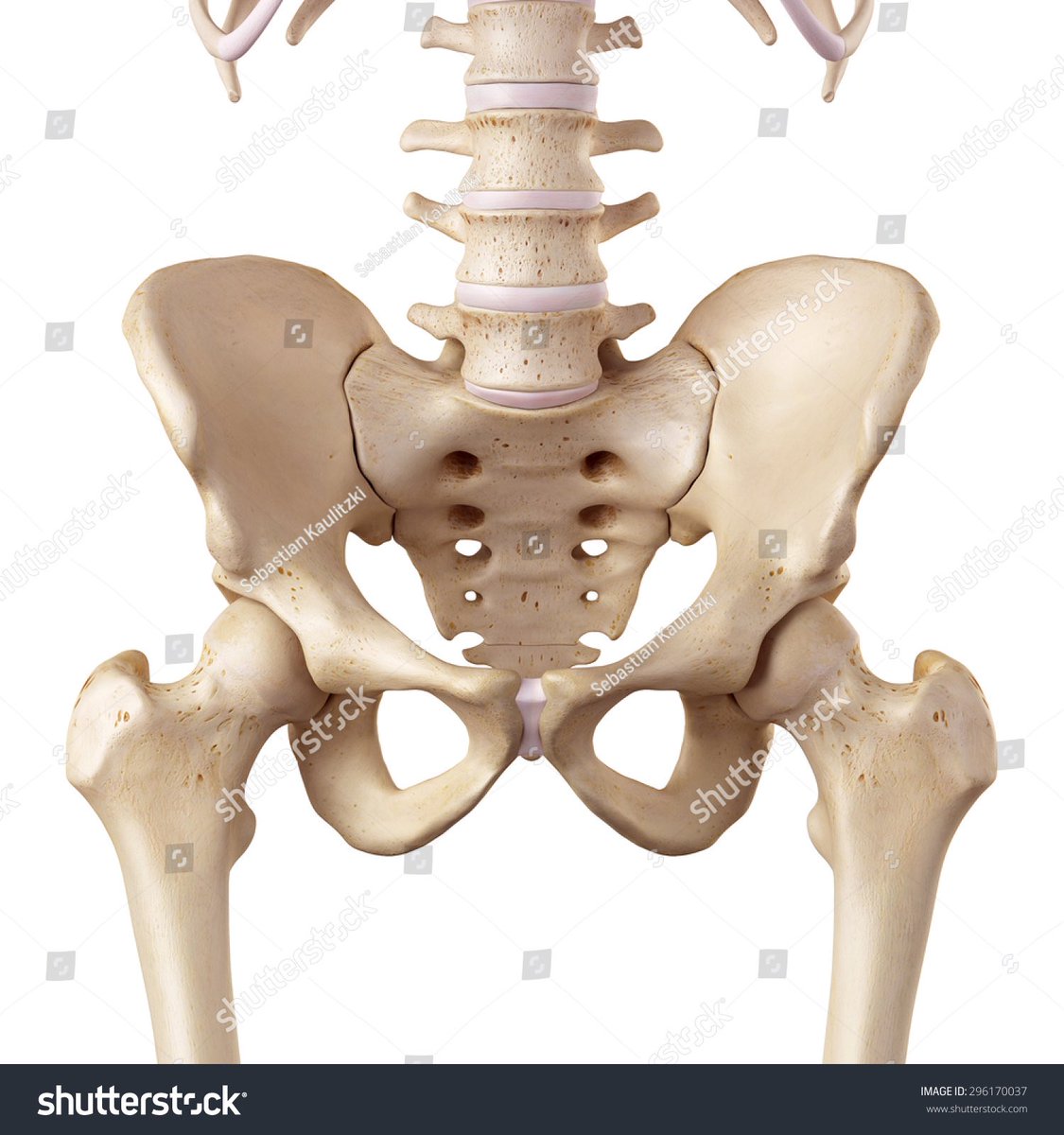 Seth Williams tweet media