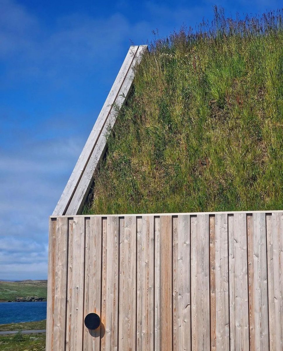 Tinyhouse_com's tweet photo. This eco-friendly trend is sweeping rooftops with a burst of lush greenery 🌿🏡

🏡: @icelandlakeview https://t.co/YQlZGvJeGm