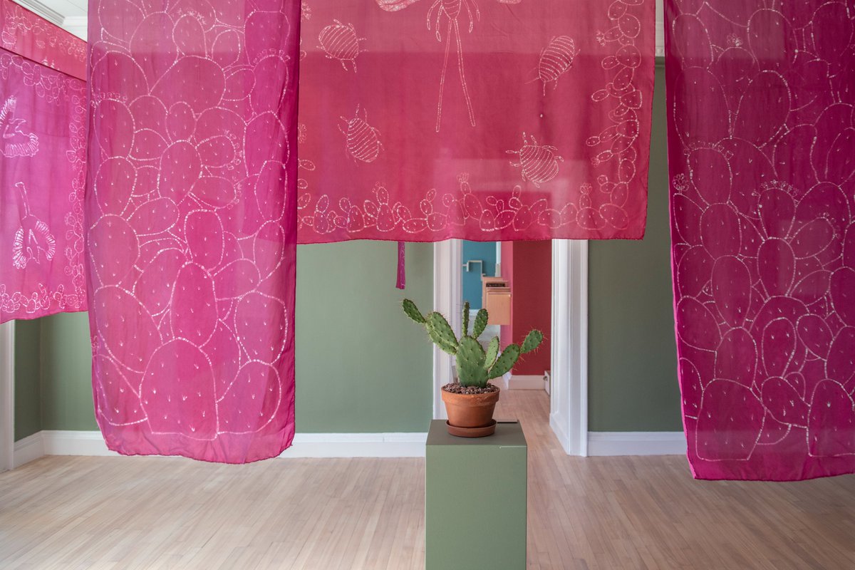 Royal Botanic Garden Edinburgh (@thebotanics) on Twitter photo 🌱💡 Join a free weekly spotlight tour!
Visit Inverleith House this weekend for a short, informative talk led by our <a href="/RBGECreative/">RBGE Creative Programmes</a> team, discussing exhibition Shipping Roots with work by Artist Keg de Souza. When? Sundays at 10.45am, on a drop-in basis: rbge.cc/ShippingRoots 🌱💡 Join a free weekly spotlight tour!
Visit Inverleith House this weekend for a short, informative talk led by our <a href="/RBGECreative/">RBGE Creative Programmes</a> team, discussing exhibition Shipping Roots with work by Artist Keg de Souza. When? Sundays at 10.45am, on a drop-in basis: rbge.cc/ShippingRoots
