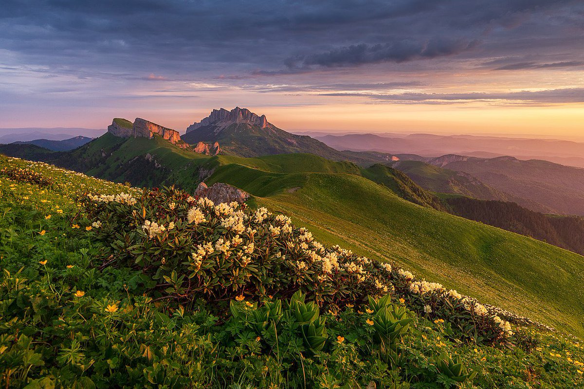 circassianroots's tweet photo. Abdzakh lands

📍Tkhatch, Adygea https://t.co/i7i1M9bTX8