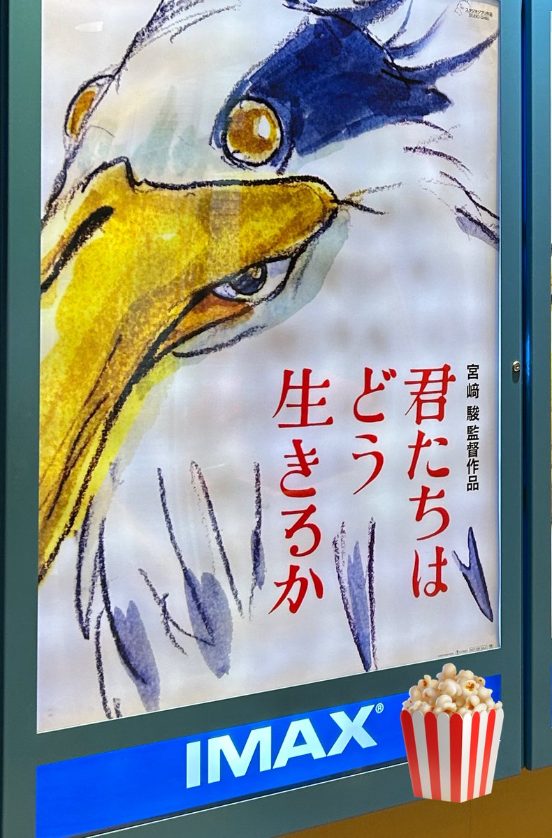 どう生き見てきた🐦 