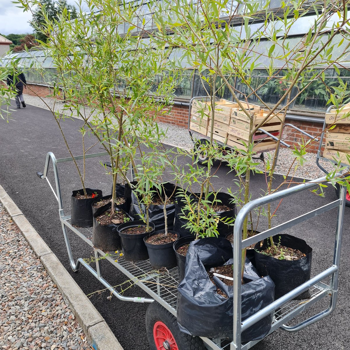 BIG PLANT SALE 🪴 all weekend.
Saturday and Sunday 11am to 3pm