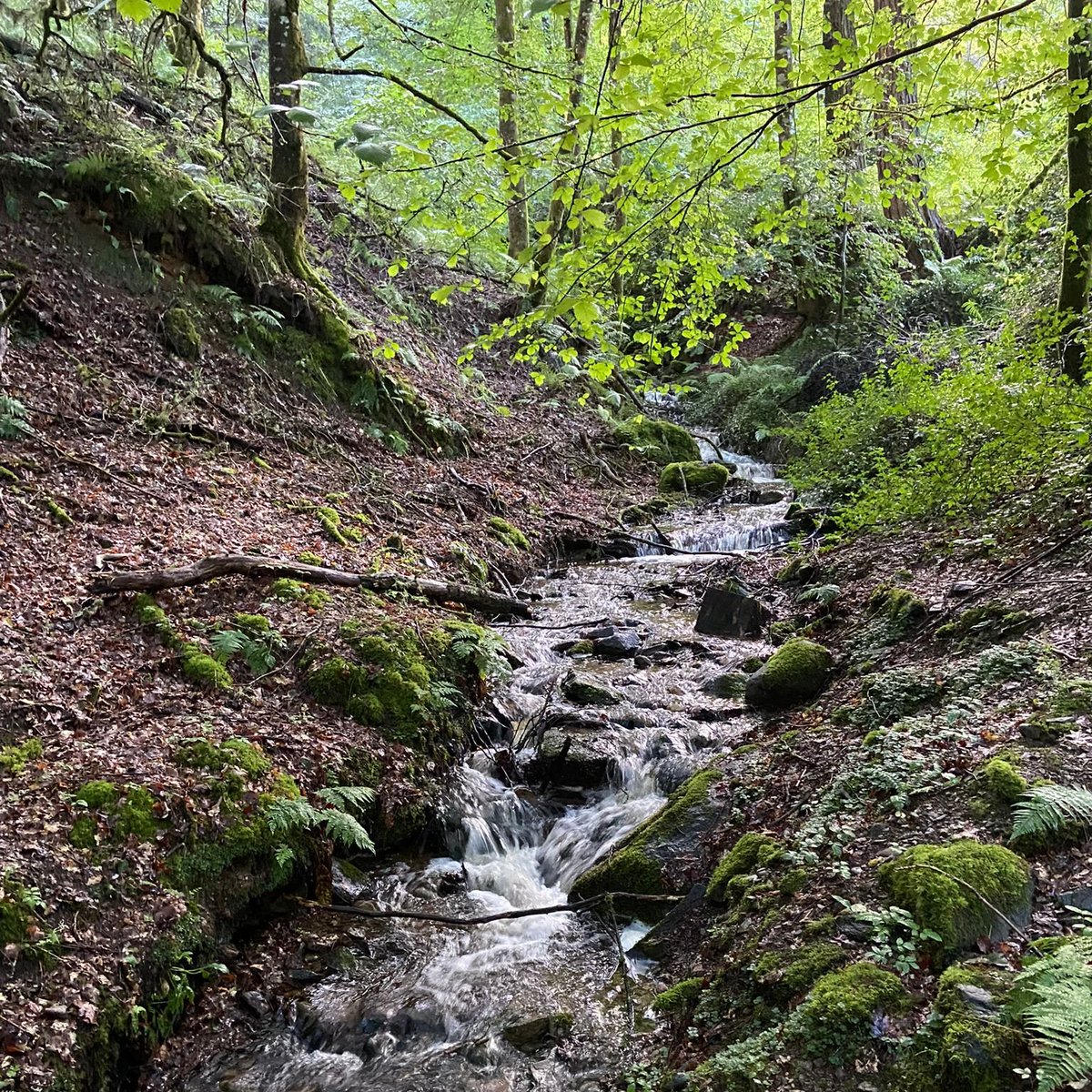 We are back from our residential <a href="/PGLTravel/">PGL Schools & Groups</a> in Dalguise in Perthshire!

We did so many exciting activities including Abseiling, Jacob's Ladder and a beautiful Burn Walk. 🧗‍♀️

Excited to go back next year! Huge shout out to our instructor Geoff who made us feel super welcome. 😁