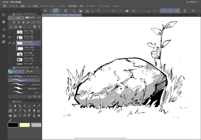 苔石