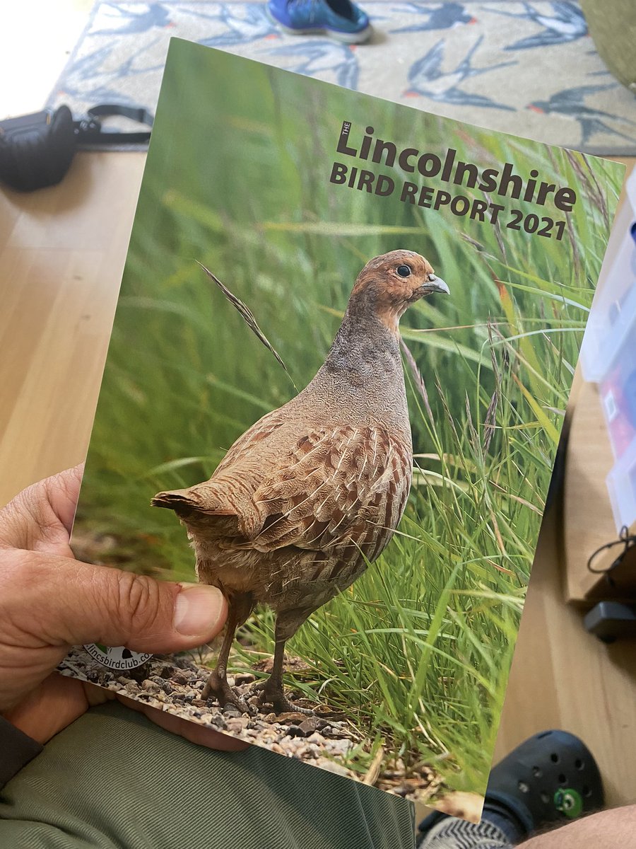 Andrew Chick tweet media