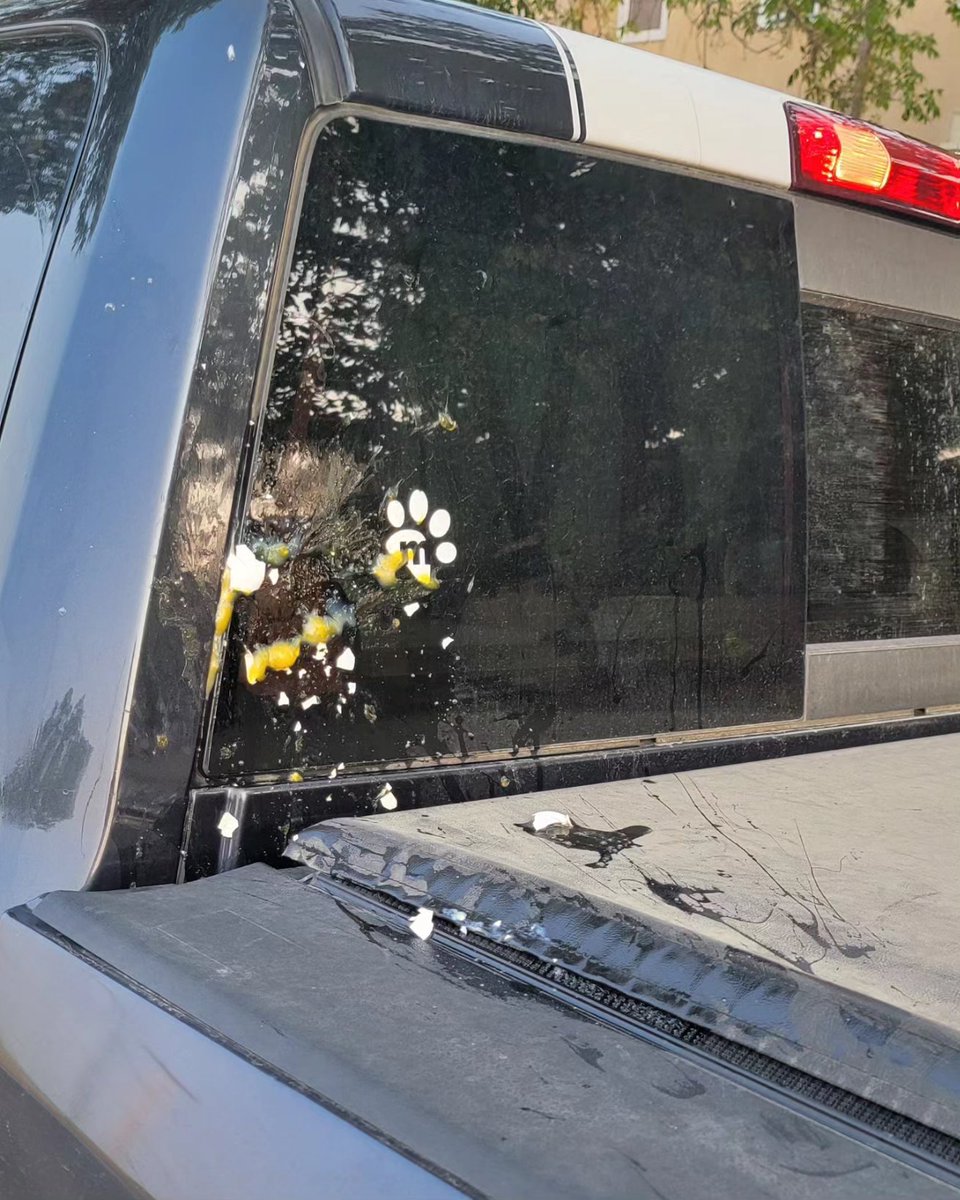 ProofPigeon_'s tweet photo. Disrespect me all you want but as soon as you fuck with my truck  😡 https://t.co/LXw0x3O5xS