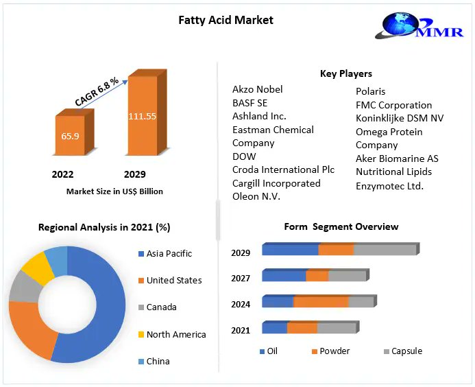 'Unleashing the Power of Fatty Acids: Fueling Health & Industry

Fatty Acid Market size was valued at USD 65.9 Bn. in 2022 and the total Packaging revenue is expected to grow by 6.8 %from 2029
Know more:tinyurl.com/2fkvcljk

#FattyAcids #MarketTrends #Cameroun #RothschildGate