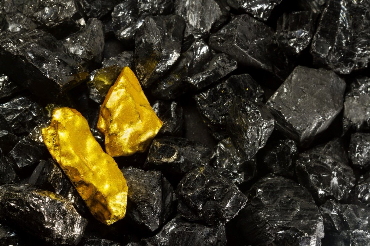 Le monete d'oro hanno sempre esercitato un fascino particolare sui collezionisti, grazie alla loro bellezza intrinseca e al valore storico e culturale che rappresentano.

bit.ly/44wV1fq