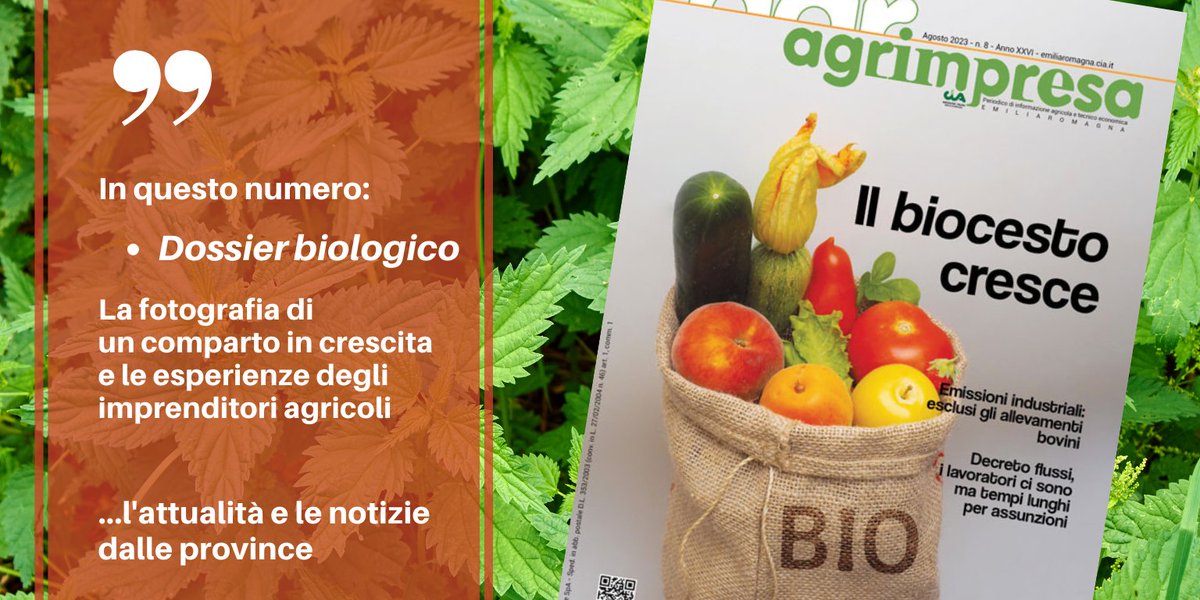 Online #agrimpresa: dossier #biologico, analisi di un settore sempre più importante. Notizie di attualità, bandi per le imprese agricole e le pagine tecniche. Per finire, le notizie dalle Cia provinciali. Sfoglia Agrimpresa dal tuo cellulare! bit.ly/agrimpresaAgos…