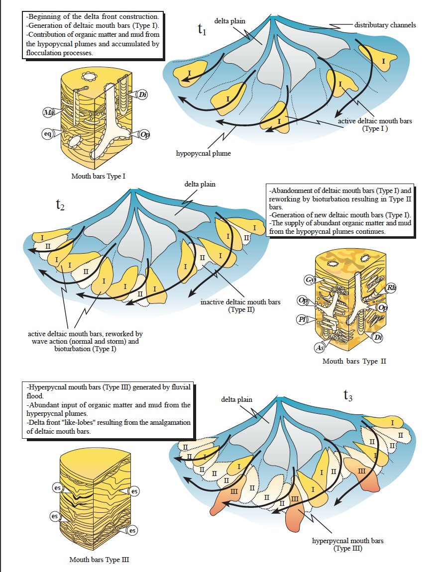 JSedimentology's tweet photo. Read about delta mouth bars in 'Sedimentological and ichnological characterization of delta front mouth bars in a river-dominated delta (Upper Cretaceous) from the La Anita Formation, Austral Basin, Argentina'

Available at: https://t.co/GmZEEiysee https://t.co/NBVSdsz0qu