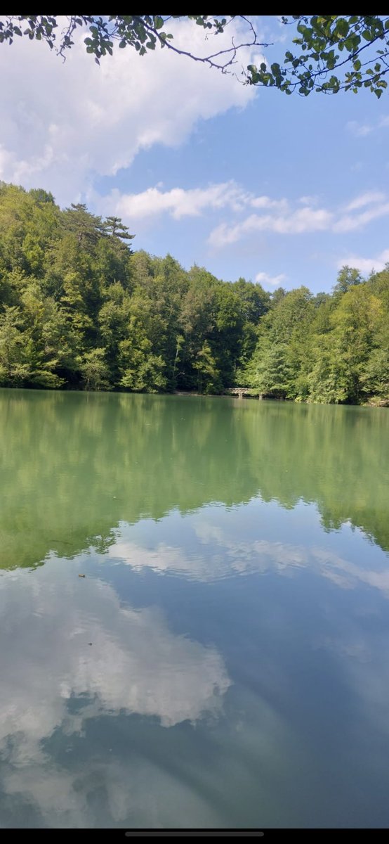 Nezaketinin sonuçlarını her zaman göremeyebilirsin…

Ama dünyaya kattığın her pozitif enerji zerresi,
burayı hepimiz için daha iyi bir yer yapar.

#world #love #nature #music 
Lisa Currie