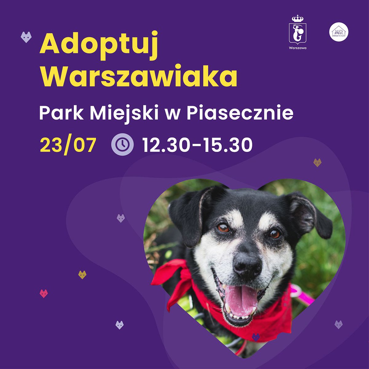 Po 4 latach powracamy do Piaseczna, by szukać najlepszych domów dla naszych psów! 🐕
Spotkajmy się w niedzielę 23 lipca w godzinach 12.30- 15.30 w Parku Miejskim w Piasecznie. Poznacie ponad 100 psów z naszego Schroniska, które szukają nowych domów☀️#adoptujwarszawiaka #piaseczno