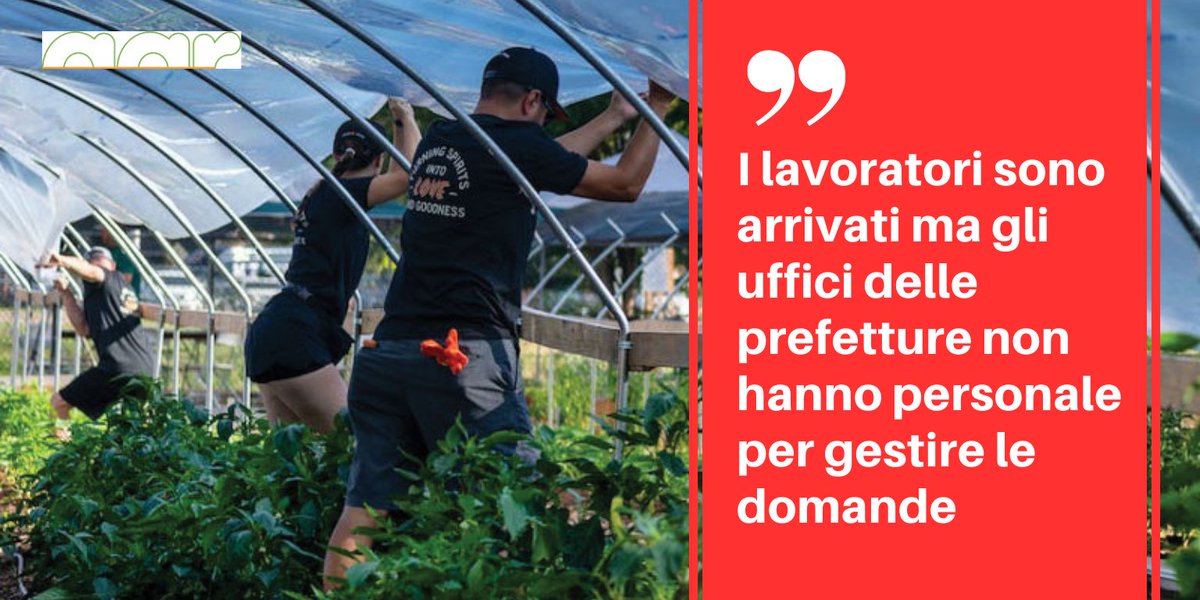 #decretoflussi i lavoratori ci sono ma gli uffici delle prefetture non hanno personale per gestire le domande. Tempi lunghi per essere convocati dalla Prefettura che purtroppo non ha addetti a sufficienza per il rilascio del permesso bit.ly/decretoflussiC…