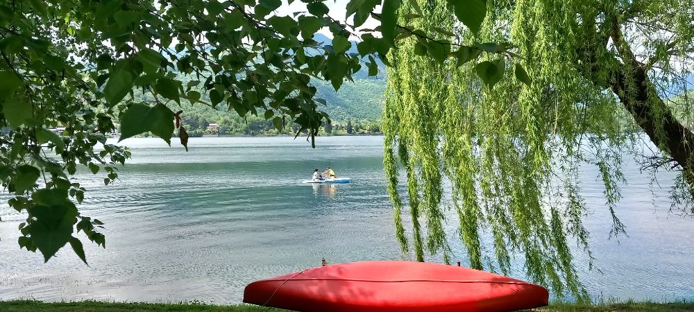 mailchi.mp/960482213012/e… AD AVIGLIANA DAL 21 LUGLIO 2023