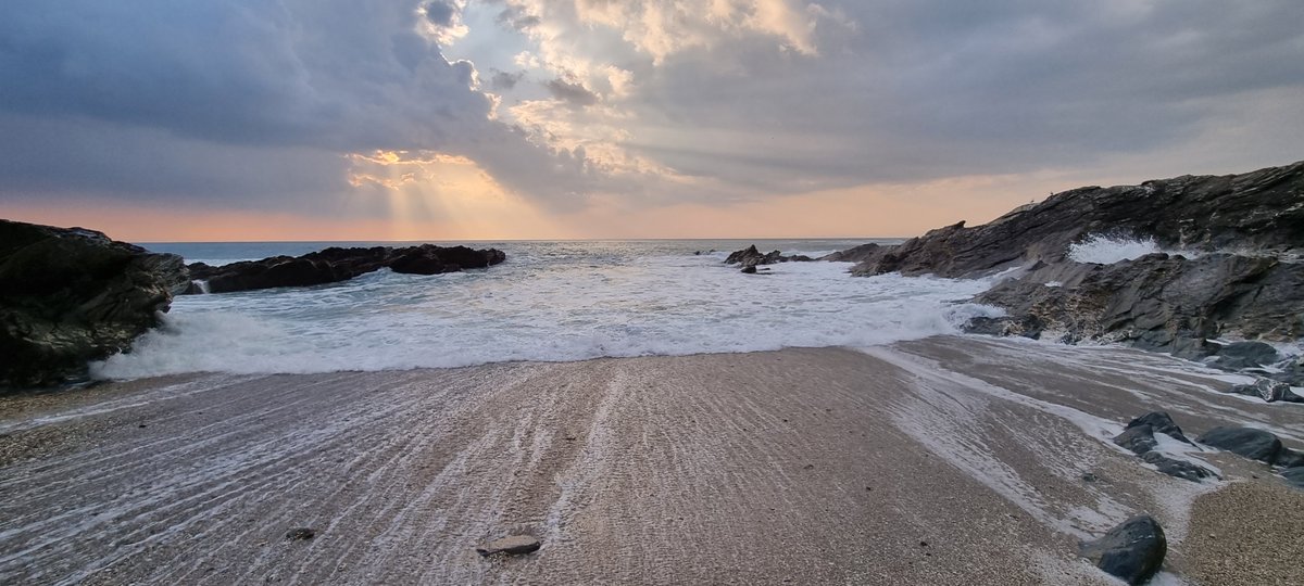 Accelerator Fleet & Workshop Software tweet media