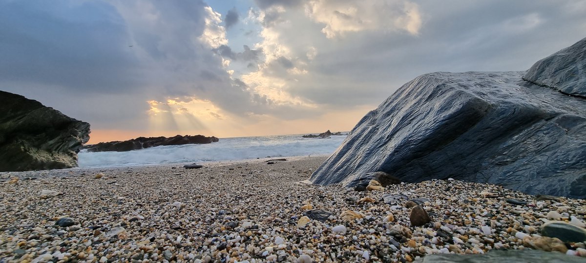 Accelerator Fleet & Workshop Software tweet media