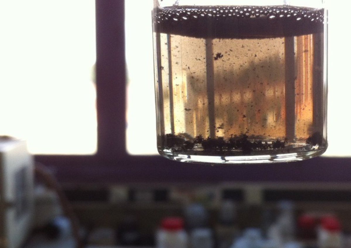 ICB_CSIC's tweet photo. #VistoenellaboratorioICB
📷Dispersión de nanotubos de carbono, por @incluciencia .
"Su capacidad para resistir fuerzas mecánicas puede ser interesante para crear materiales reforzados o su inercia química para el campo de la medicina". Link: https://t.co/K4NjGFYiaZ https://t.co/na8R8mk2yW