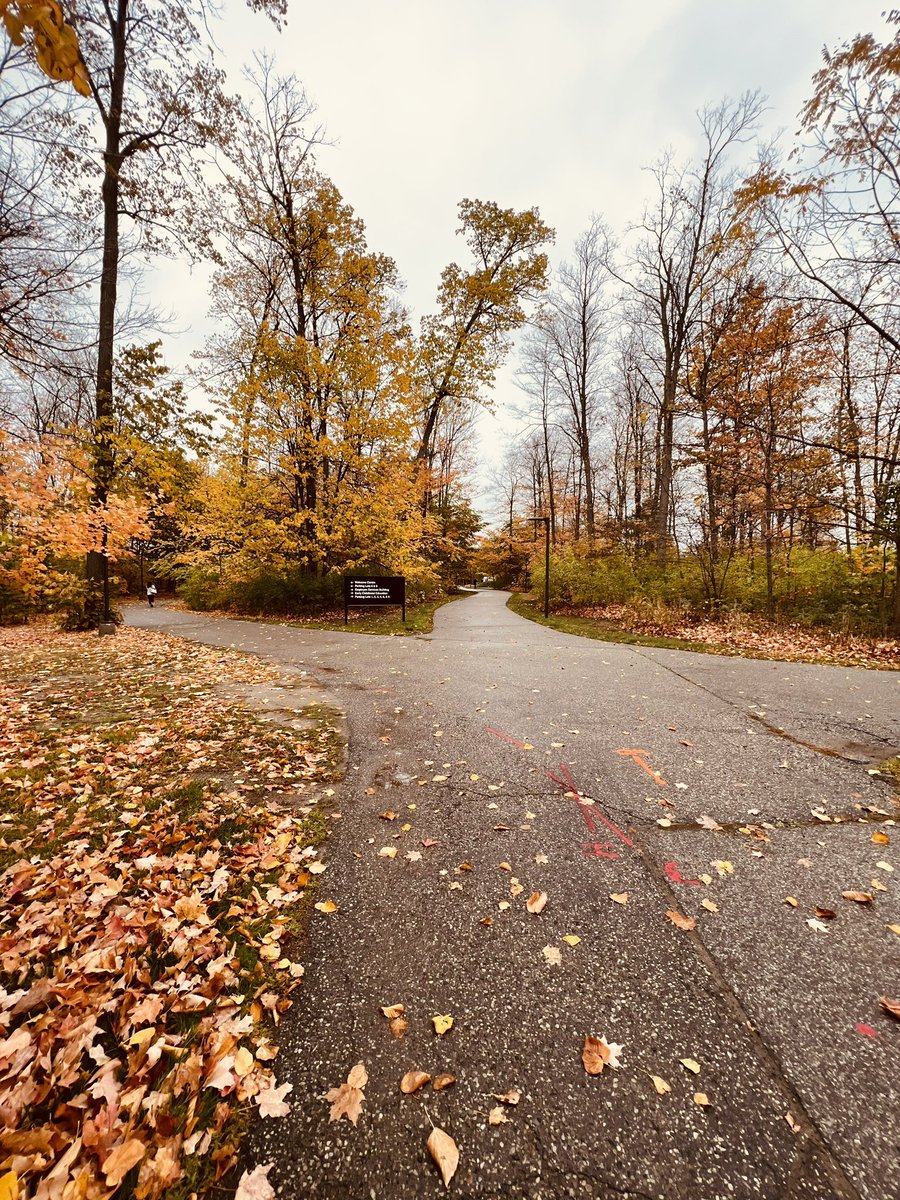 mi_nadeer's tweet photo. Fall-ing love

#fall #Canada https://t.co/U5dHFitrb8
