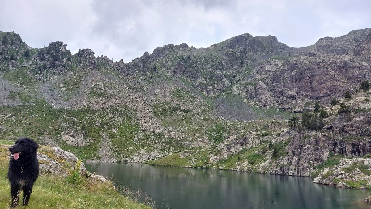 SGenepis's tweet photo. 21-07-2023 rando au lac Merlat depuis les Seiglières avec Laïka (Belledonne) Départ matinal 6h30 mais l'avantage de monter seul jusqu'au lac (960 m de dénivelé) qq averses non prévues, puis le soleil dans la descente. https://t.co/PPdUGOTnW5