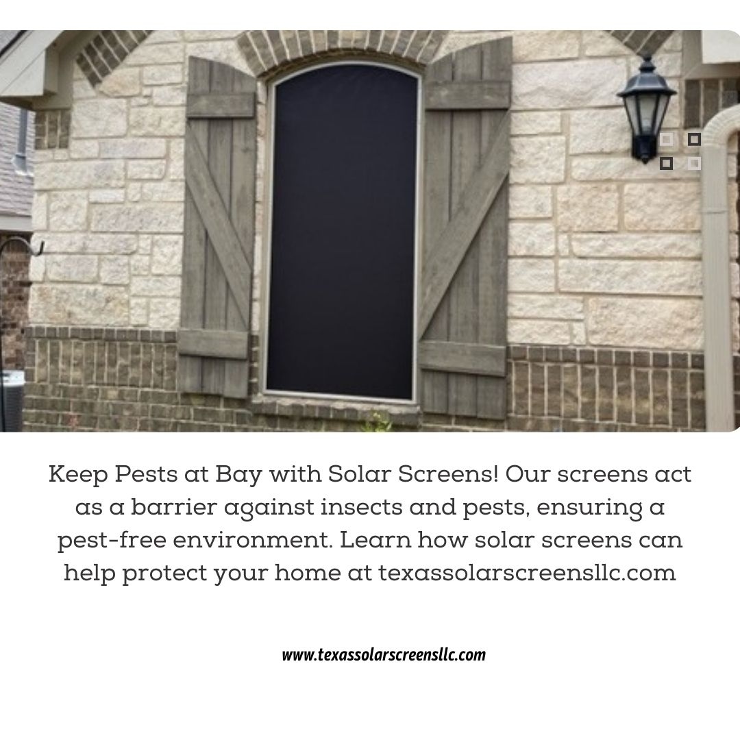 TxSolarScreens's tweet photo. 🌞🐜 Bug Off with Solar Screens! 

🏡🔒 Say goodbye to unwanted guests and hello to a pest-free haven!  

☎ Call Today: 210-777-3003

💻 Schedule a Free Estimate: https://t.co/WCCqdyYL0k

#Bugs #insects #PestFreeLiving #SolarScreens #texassolarscreens #solarscreens #rollscree... https://t.co/v5rZq4iS3V