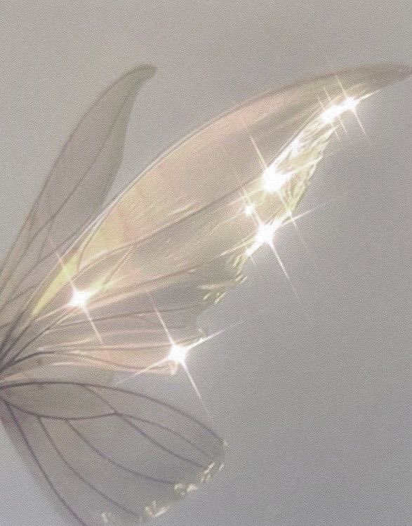 Illa_39ty's tweet image. ♡ 。　　♡。　　♡
♡。　＼　　｜　　／。　♡
　       충격 요정 실존
♡。　／　　｜　　＼。　♡
。　♡。 　　。　　♡。