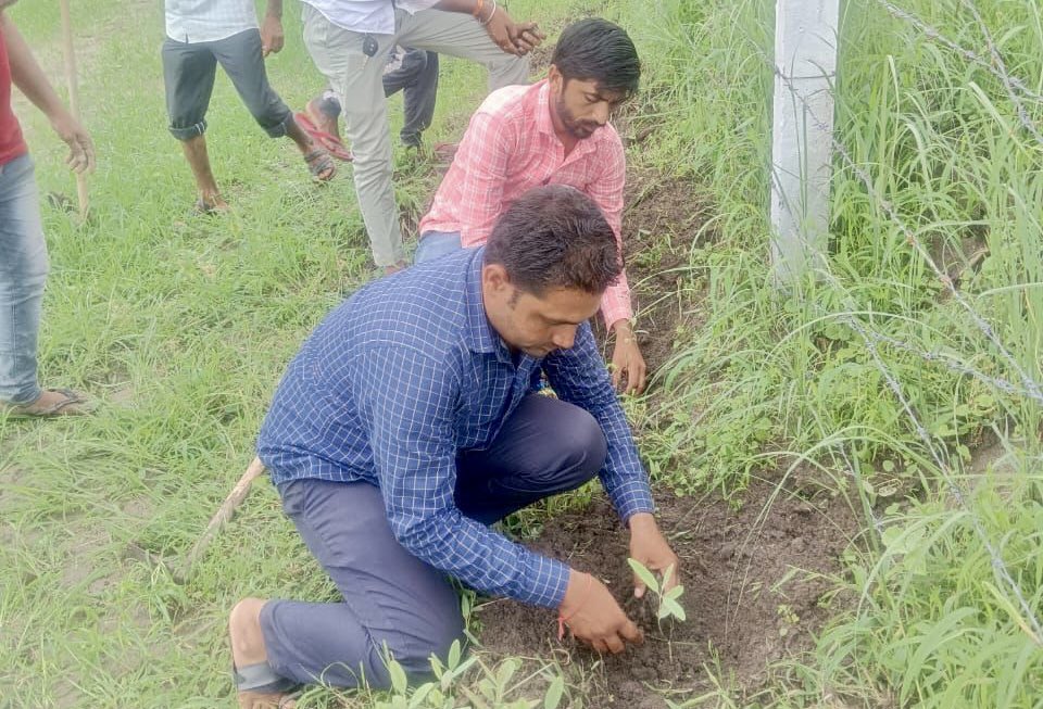 ikaushaldave's tweet photo. .@svgrybguj ના અમદાવાદ જિલ્લાના વિરમગામ તાલુકાના સંયોજકો દ્વારા “સ્વામી વિવેકાનંદ વન" અભિયાન અંતર્ગત વૃક્ષારોપણ કરવામાં આવ્યું અને તેનું રક્ષણ કરવા તેમજ પર્યાવરણ સંરક્ષણની જવાબદારી નિભાવવા ગામના સૌ યુવાઓને આહવાન કર્યું. https://t.co/7YG7SLuJBk
