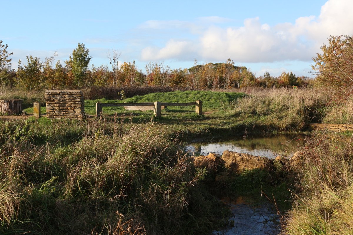 Some of you know Foxburrow Wood as the home of the historic Wychwood Forest Fair, but do you know the story of how this #Cotswold community woodland came to be the thriving haven for wildlife it is today? Check out our short film at bit.ly/3Q5VPTS #habitatrestoration