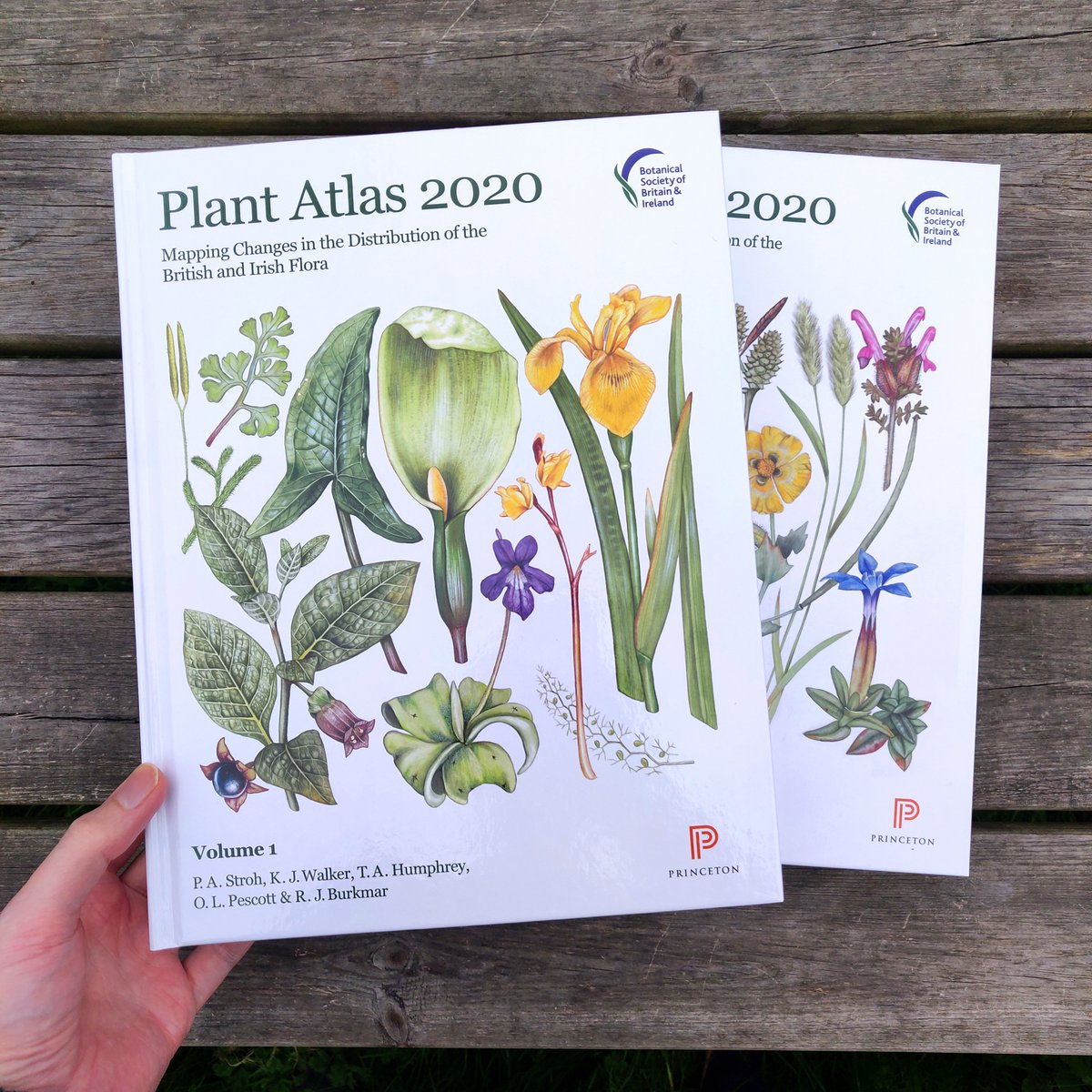 "To suggest that Plant Atlas 2020 is a formidable achievement of British and Irish field botany rather undervalues it. It has left me breathless."   

Read Peter Marren's full review here: britishwildlife.com/article/articl…