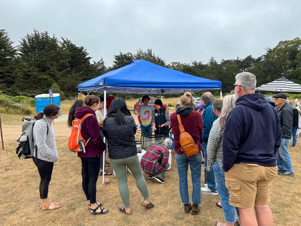 bodegamarinelab's tweet image. If you'll be in #BodegaBay this weekend, make sure to stop by and visit volunteers from the Bodega Marine Sciences Association at the Farmer's Market on 7/23! bodegabaycommunitycenter.org/farmers-market/

📸s are courtesy of BMSA