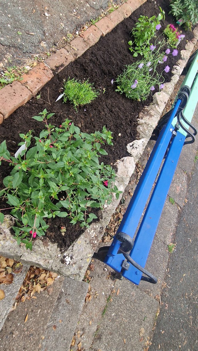 rowenasocial's tweet photo. Community planting going on today, good for the soul. 😎 #CommunityBuilding https://t.co/I1Q5O4Sxi8