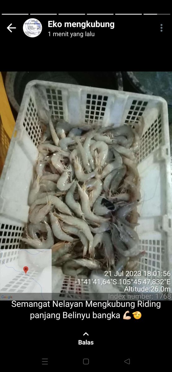 AnisTriandini's tweet photo. Jumat,21072033
ANIS TRIANDINI, S.Pi PPB BANGKA
PENDAMPINGAN KEWIRAUSAHAAN DR DINAS BPN DAN DINAS PERIKANAN KAB BANGKA KUB NELAYAN ANUGRAH SINAR ABADI,KUB NELAYAN CAHAYA SAMUDRA BERJAYA,KUB BATU MALANNIJOK
 MENGKUBUNG KEL.RIDING PANJANG KEC BELINYU
#GiatLuhkanSatminkalBrppupp https://t.co/yNp9ou35d2