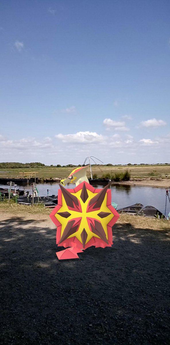 piout91 tweet picture