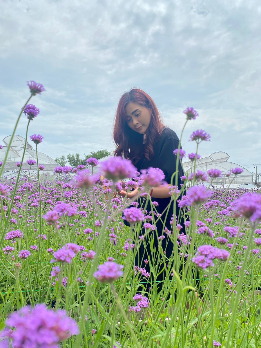 kuttareena's tweet photo. เหลี่ยมทุกดอก แล้วบอกเพื่อนกัน https://t.co/Masjr166hL