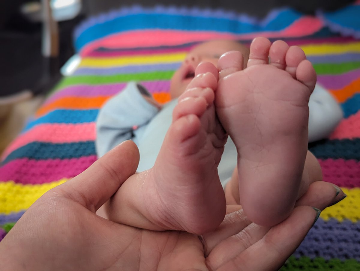 John Mulgrew tweet media