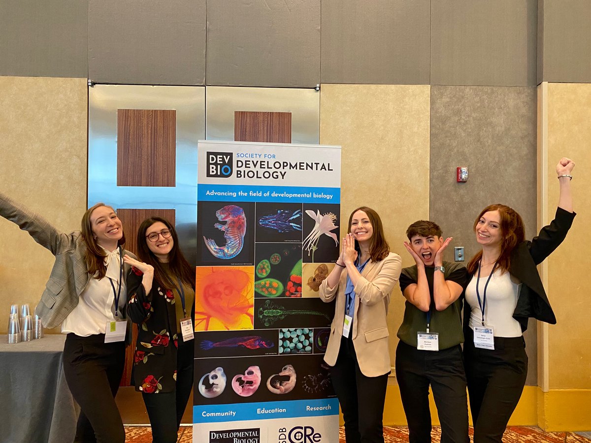 Ashley N. Abel (@ashleynabel) on Twitter photo We’re so excited to be sharing our research in Chicago! Come visit the <a href="/BernaSozen_/">Berna Sozen</a> lab posters
<a href="/SocDevBio/">Society for Developmental Biology</a>
✨🔬 Posters B83, B84, B97, B142! <a href="/pedroza_monique/">Monique Pedroza</a> <a href="/IpekGassa/">ipek gassaloglu</a> <a href="/bergmann_jenna/">Jenna Bergmann</a> <a href="/TFinkelstein_/">Tova Finkelstein</a> We’re so excited to be sharing our research in Chicago! Come visit the <a href="/BernaSozen_/">Berna Sozen</a> lab posters
<a href="/SocDevBio/">Society for Developmental Biology</a>
✨🔬 Posters B83, B84, B97, B142! <a href="/pedroza_monique/">Monique Pedroza</a> <a href="/IpekGassa/">ipek gassaloglu</a> <a href="/bergmann_jenna/">Jenna Bergmann</a> <a href="/TFinkelstein_/">Tova Finkelstein</a>