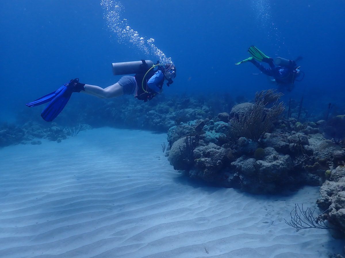 Woods Hole Oceanographic Institution (WHOI) tweet media