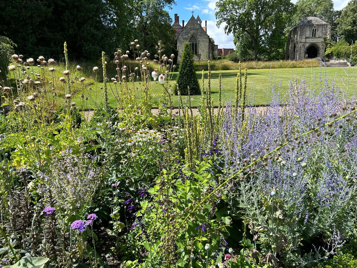 Don’t miss out on this Sunday’s open garden to raise money for @hopeintoaction Norwich. We’ll be open between 1-4.30pm with refreshments and plants for sale. We hope to see you there!