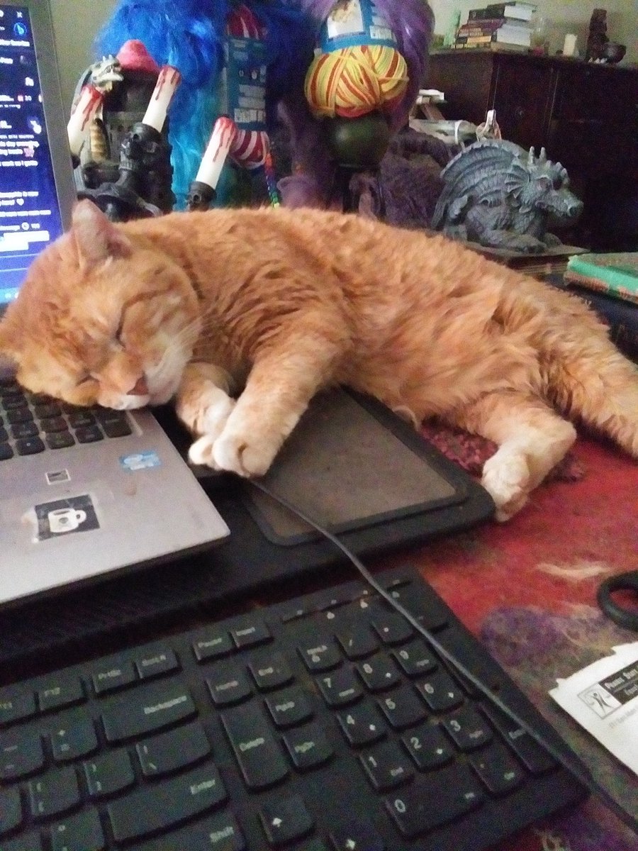 <a href="/rhiebelle/">Rhiebelle</a> Behold! A sleepy chonky boi!!! 💜🖤🐱🖤💜