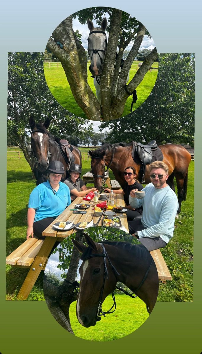 StuartParkin4's tweet photo. Summer holidays, for the horses, 🐎 💨 is official over. They are back in work doing steady road work (and stopping for carrot 🥕 cake) before going back to @DSkeltonRacing https://t.co/za8CR1hkmo