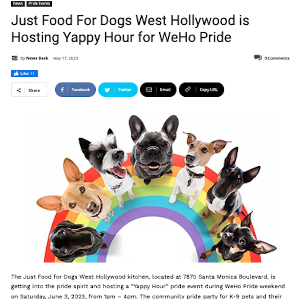 synjam's tweet image. DO MALE DOGS HAVE PUPPIES or pillows?