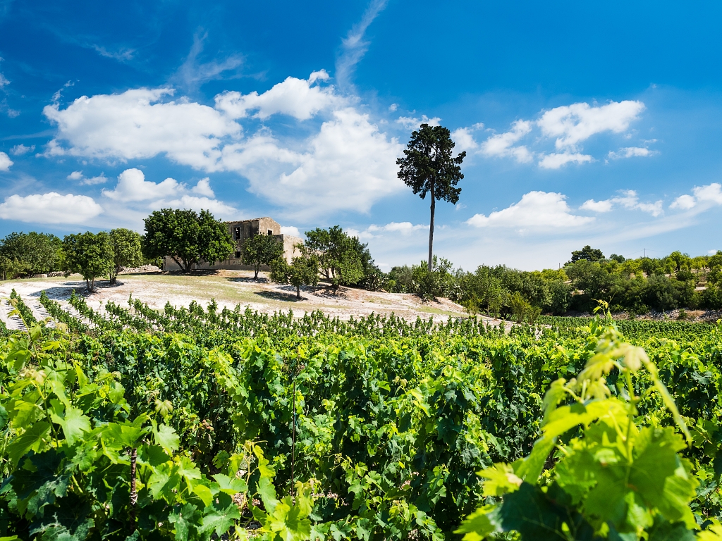 Client Magazine tweet media