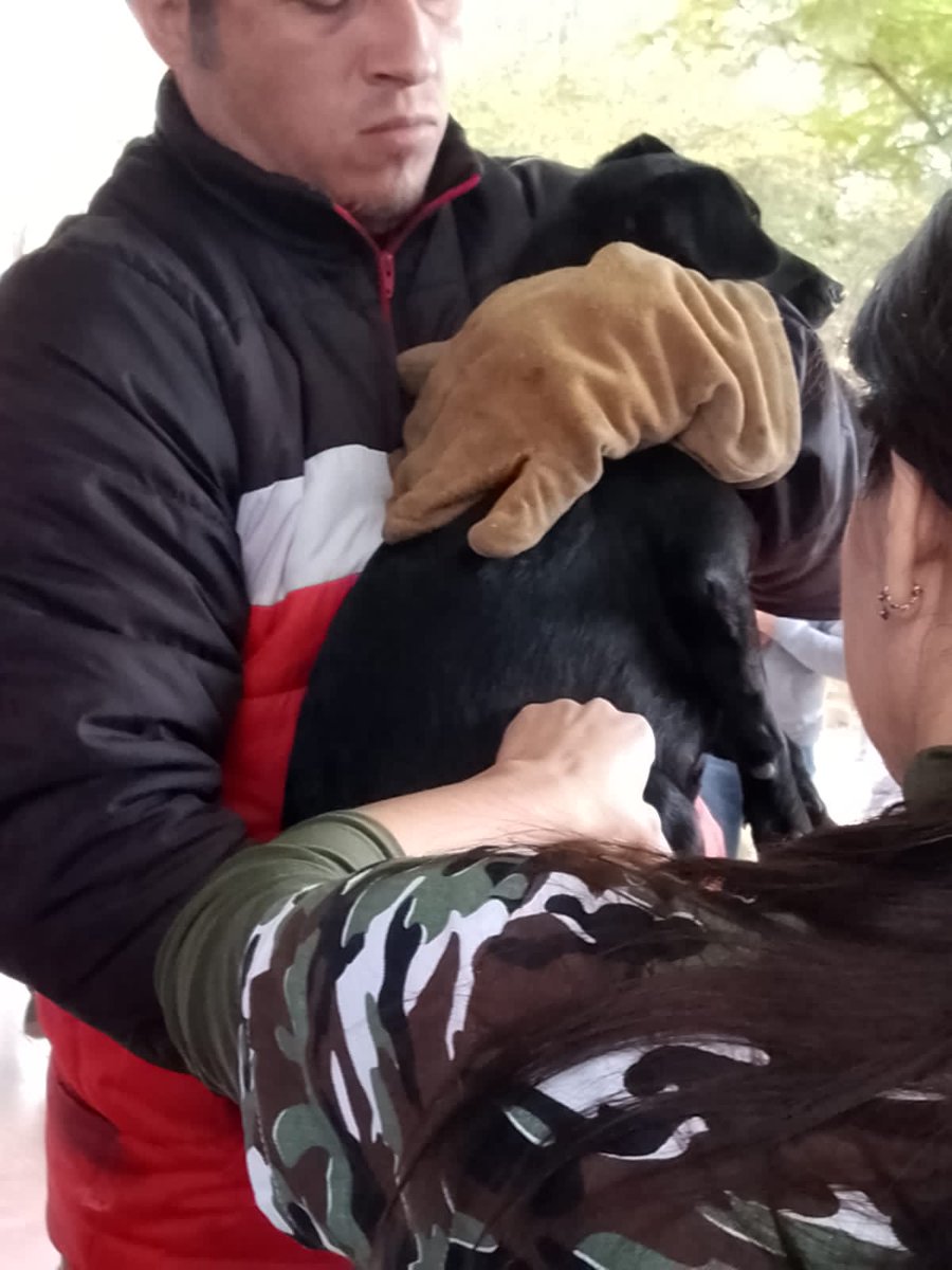 MLaura_Aguero's tweet photo. Con un rico matecocido y pancitos caseros 🥰 realizamos el operativo de castracion en el B Saviore 🐕🐈
#ProteccionAnimal
#ParquesMunicipales
#InesIntendenta 🌸 https://t.co/QpOKcADpj1