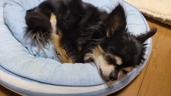 こんな風にゆっくりします 