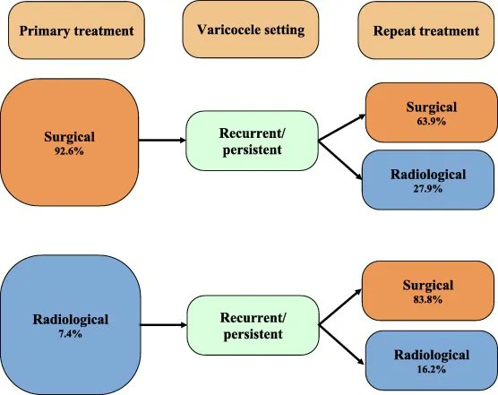 Current Issue: Treatment of Persistent or Recurrent Varicoceles: A Systematic Review buff.ly/46KkoM6 @GFallara_MD @Karlhpang @Edop92 @FedericoBellad1 @Paolo_Capog @HussainAlnajjar @F_Montorsi @gaspare2006 @castiglionfabio @Dr_Andrology #UroSoMe #Medtwitter